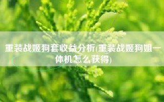 重装战姬狗套收益分析(重装战姬狗姐一体机怎么获得)