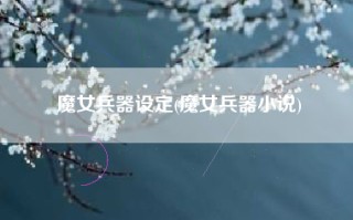 魔女兵器设定(魔女兵器小说)