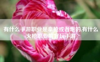 有什么手游职业是拿枪或者炮的,有什么火枪职业的好玩手游