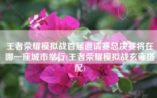 王者荣耀模拟战首届邀请赛总决赛将在哪一座城市举行(王者荣耀模拟战玄雍搭配)