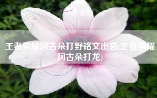 王者荣耀阿古朵打野铭文出装(王者荣耀阿古朵打龙)