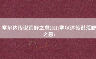 塞尔达传说荒野之息2021(塞尔达传说荒野之息)