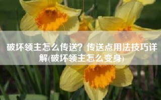 破坏领主怎么传送？传送点用法技巧详解(破坏领主怎么变身)