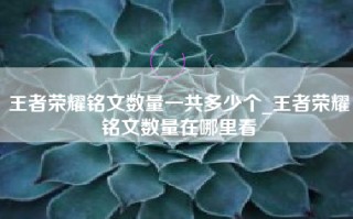 王者荣耀铭文数量一共多少个_王者荣耀铭文数量在哪里看