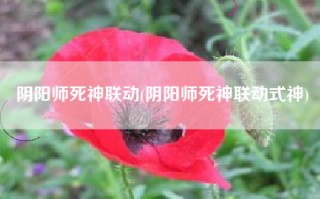 阴阳师死神联动(阴阳师死神联动式神)