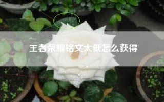 王者荣耀铭文太低怎么获得