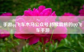 手游qq飞车木马公众号,持续霸榜的QQ飞车手游
