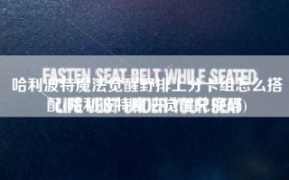 哈利波特魔法觉醒野排上分卡组怎么搭配(哈利波特魔法觉醒兑换码)
