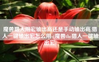 魔兽猎人用宏输出高还是手动输出高,猎人一键输出宏怎么用-(魔兽tbc猎人一键输出宏)