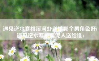 遇见逆水寒桃溪河虾送给哪个男角色好(遇见逆水寒桃溪泥人送给谁)