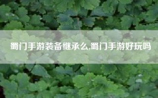 蜀门手游装备继承么,蜀门手游好玩吗