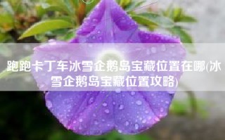 跑跑卡丁车冰雪企鹅岛宝藏位置在哪(冰雪企鹅岛宝藏位置攻略)