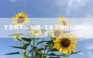 王者局不ban貂蝉-(王者荣耀什么局有ban位)