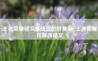 王者荣耀铭文系统改的好复杂_王者荣耀在哪改铭文