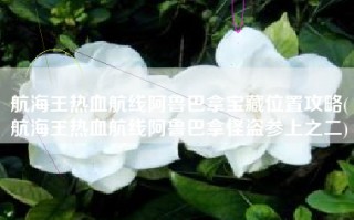 航海王热血航线阿鲁巴拿宝藏位置攻略(航海王热血航线阿鲁巴拿怪盗参上之二)