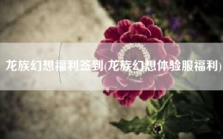 龙族幻想福利签到(龙族幻想体验服福利)