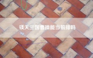 镁天三国曹操能当前排吗