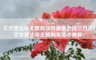 艾尔登法环无限购买普通墓地铃兰方法(艾尔登法环无限购买细小兽骨)