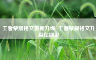 王者荣耀铭文重新升级_王者荣耀铭文升级在哪里