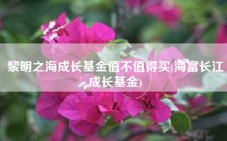 黎明之海成长基金值不值得买(海富长江成长基金)