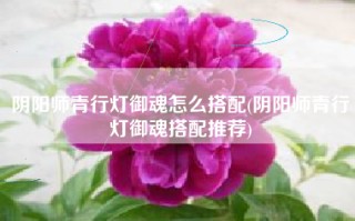 阴阳师青行灯御魂怎么搭配(阴阳师青行灯御魂搭配推荐)