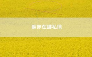 翻咔在哪私信