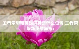 王者荣耀新英雄海月是什么位置(王者荣耀新英雄海报)