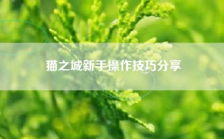 猫之城新手操作技巧分享