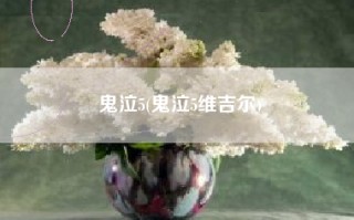 鬼泣5(鬼泣5维吉尔)