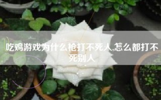 吃鸡游戏为什么枪打不死人,怎么都打不死别人