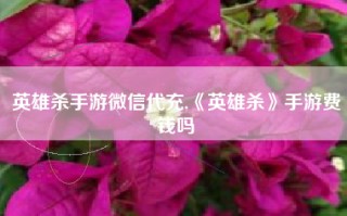 英雄杀手游微信代充,《英雄杀》手游费钱吗