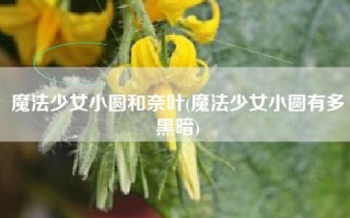 魔法少女小圆和奈叶(魔法少女小圆有多黑暗)