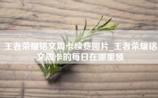 王者荣耀铭文周卡续费图片_王者荣耀铭文周卡的每日在哪里领