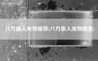 八方旅人宠物推荐(八方旅人宠物图鉴)