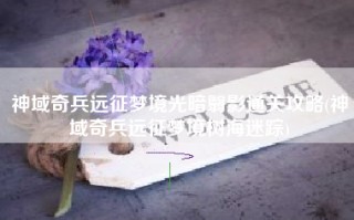 神域奇兵远征梦境光暗翳影通关攻略(神域奇兵远征梦境树海迷踪)