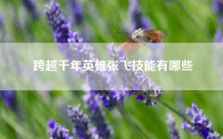 跨越千年英雄张飞技能有哪些
