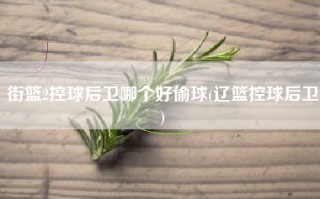 街篮2控球后卫哪个好偷球(辽篮控球后卫)
