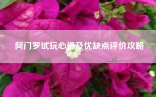 阿门罗试玩心得及优缺点评价攻略