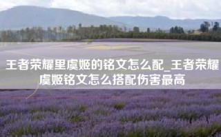 王者荣耀里虞姬的铭文怎么配_王者荣耀虞姬铭文怎么搭配伤害最高