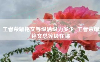 王者荣耀铭文等级满级为多少_王者荣耀铭文总等级在哪