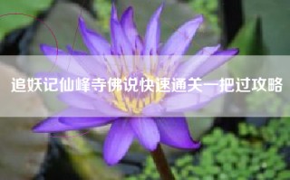 追妖记仙峰寺佛说快速通关一把过攻略