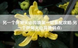 另一个伊甸火山异境第一层低配攻略(另一个伊甸火山异境弱点)