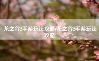 龙之谷2手游玩法攻略(龙之谷2手游玩法攻略)