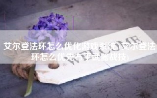 艾尔登法环怎么优化游戏系统 (艾尔登法环怎么优先右手武器战技)