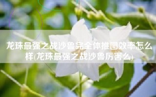 龙珠最强之战沙鲁完全体推图效率怎么样(龙珠最强之战沙鲁厉害么)