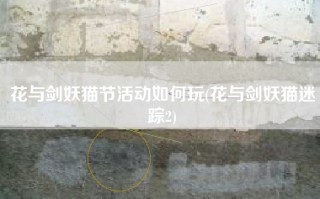 花与剑妖猫节活动如何玩(花与剑妖猫迷踪2)