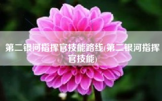 第二银河指挥官技能路线(第二银河指挥官技能)
