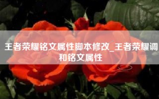 王者荣耀铭文属性脚本修改_王者荣耀调和铭文属性