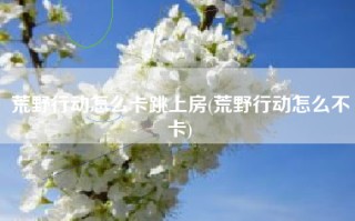 荒野行动怎么卡跳上房(荒野行动怎么不卡)
