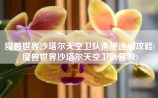魔兽世界沙塔尔天空卫队声望速刷攻略(魔兽世界沙塔尔天空卫队营救)